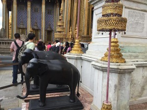 IMG_0117